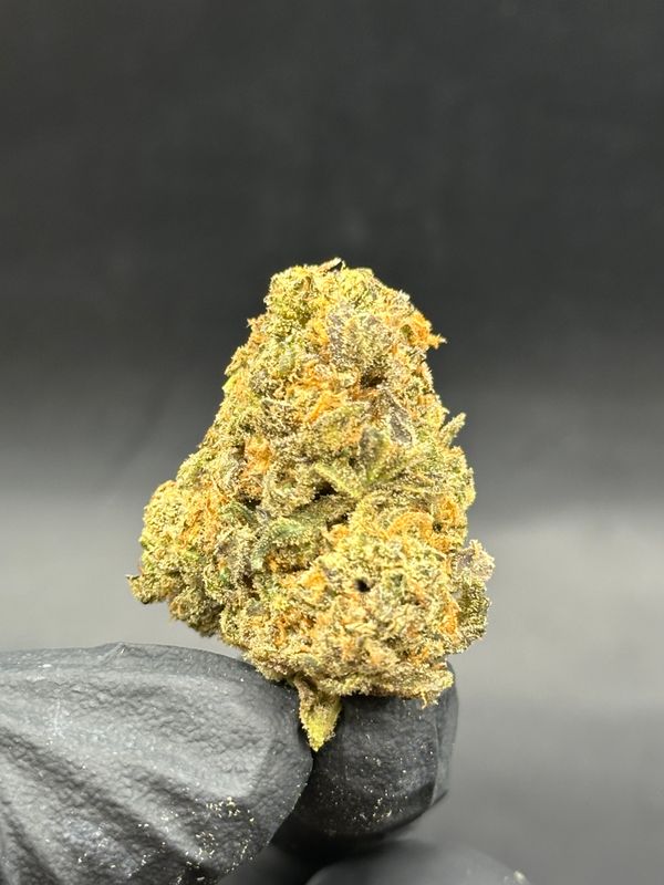 Blueberry muffin 5$ 3.5g