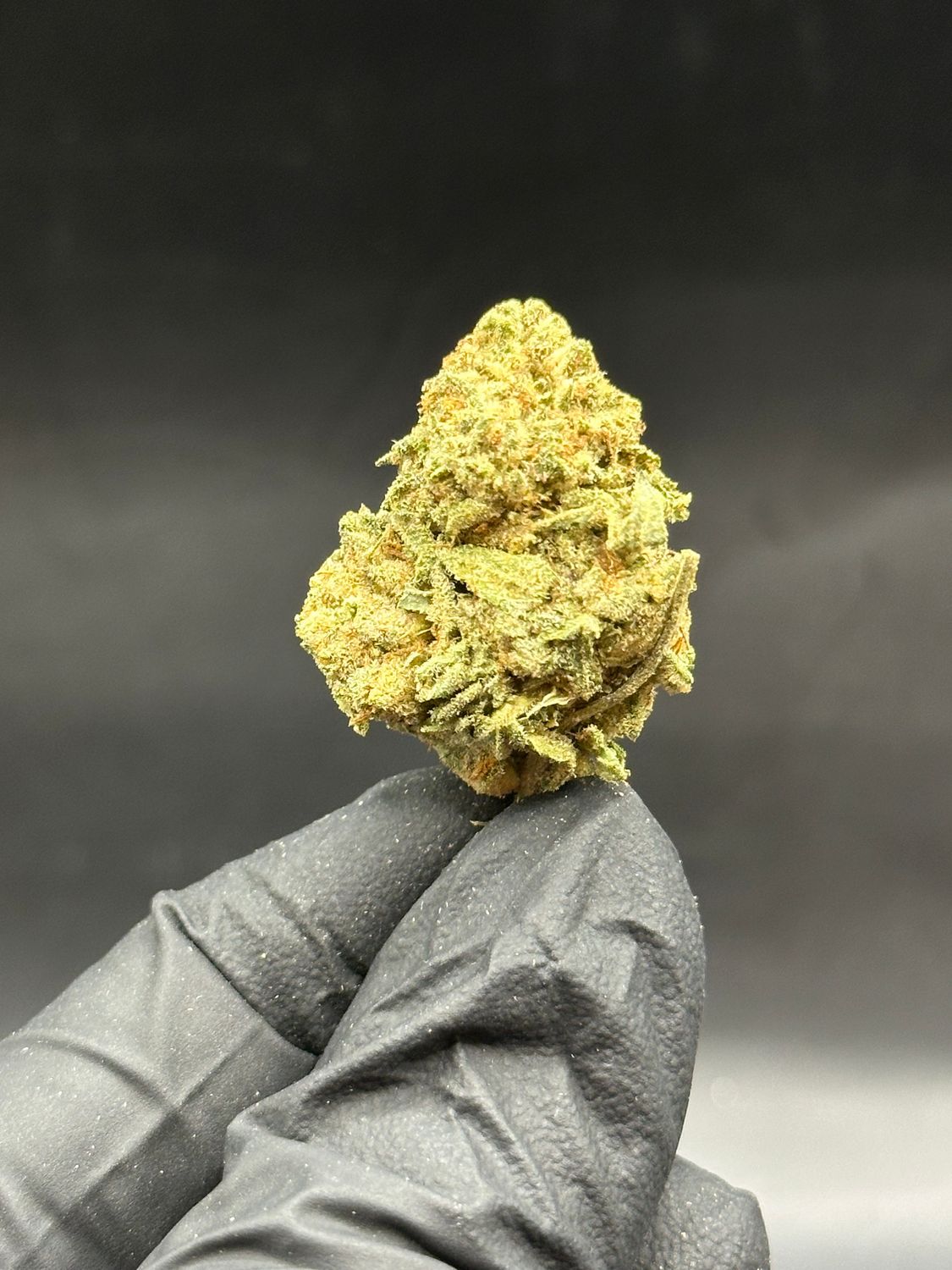 Blackberry 25$/oz
