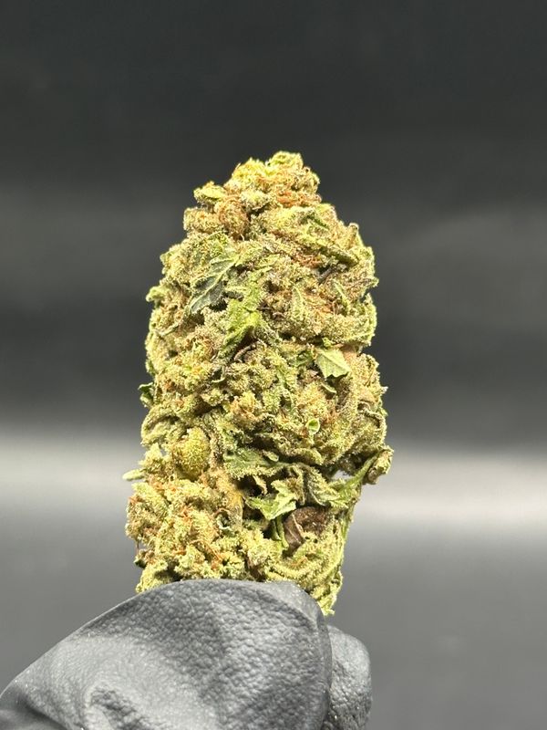 Do si dos 40$/oz