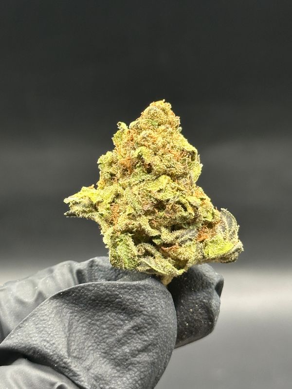 Crazy glue 60$/oz