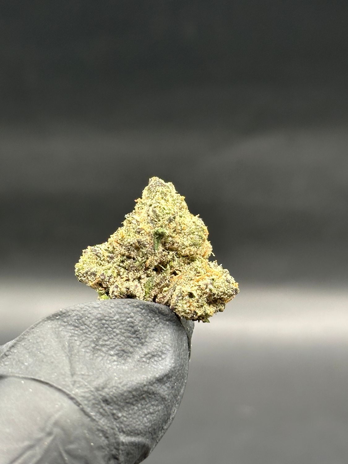 Lemon cherry gelato 80$/oz