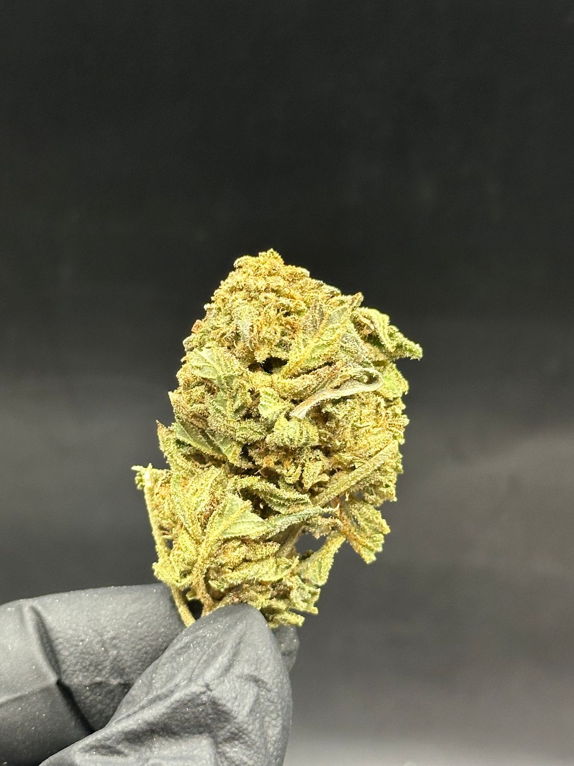 Papaya 30$/oz