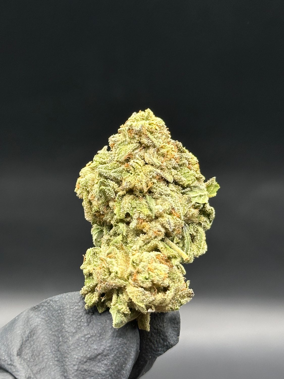 Gorilla ice 60$/oz