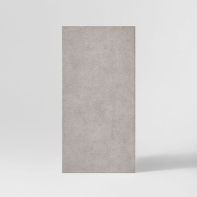 RENEGADE GREY BRN62055A 300 X 600 X 9MM