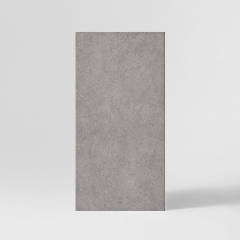 RENEGADE ASH BRN62255A 300 X 600 X 9MM