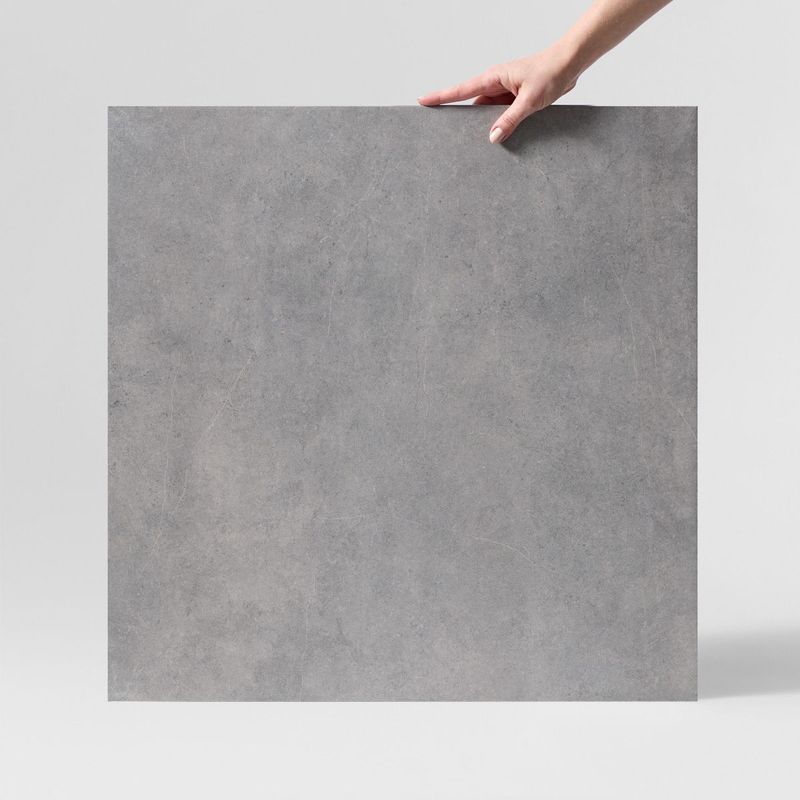 RENEGADE ASH BRN2260A/BRN62260A 600 X 600 X 9MM
