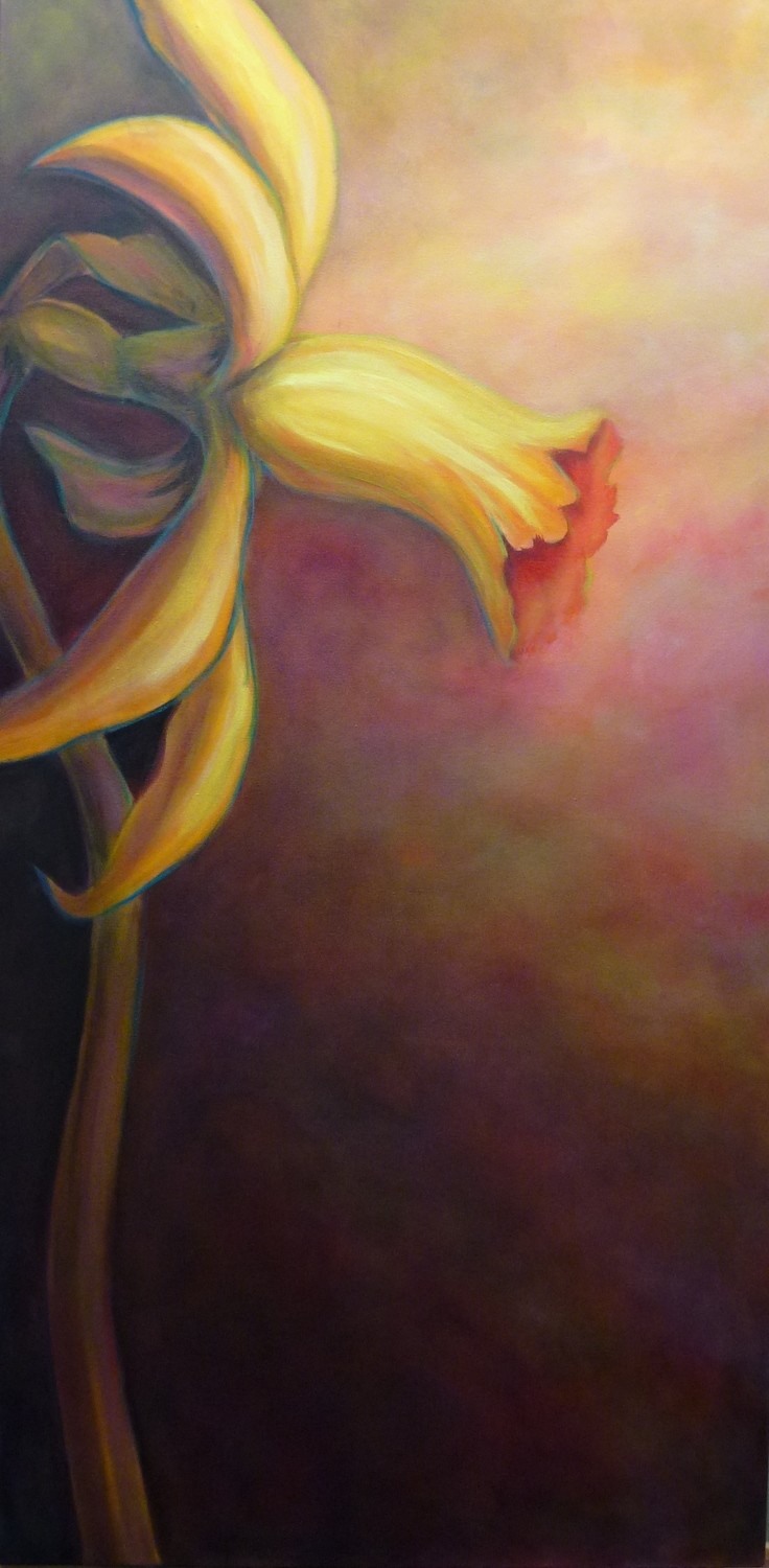 Narcissus cyclamineus &#39;Peeping Tom&#39;,  Original Oil on Canvas  24&quot; x 48&quot;