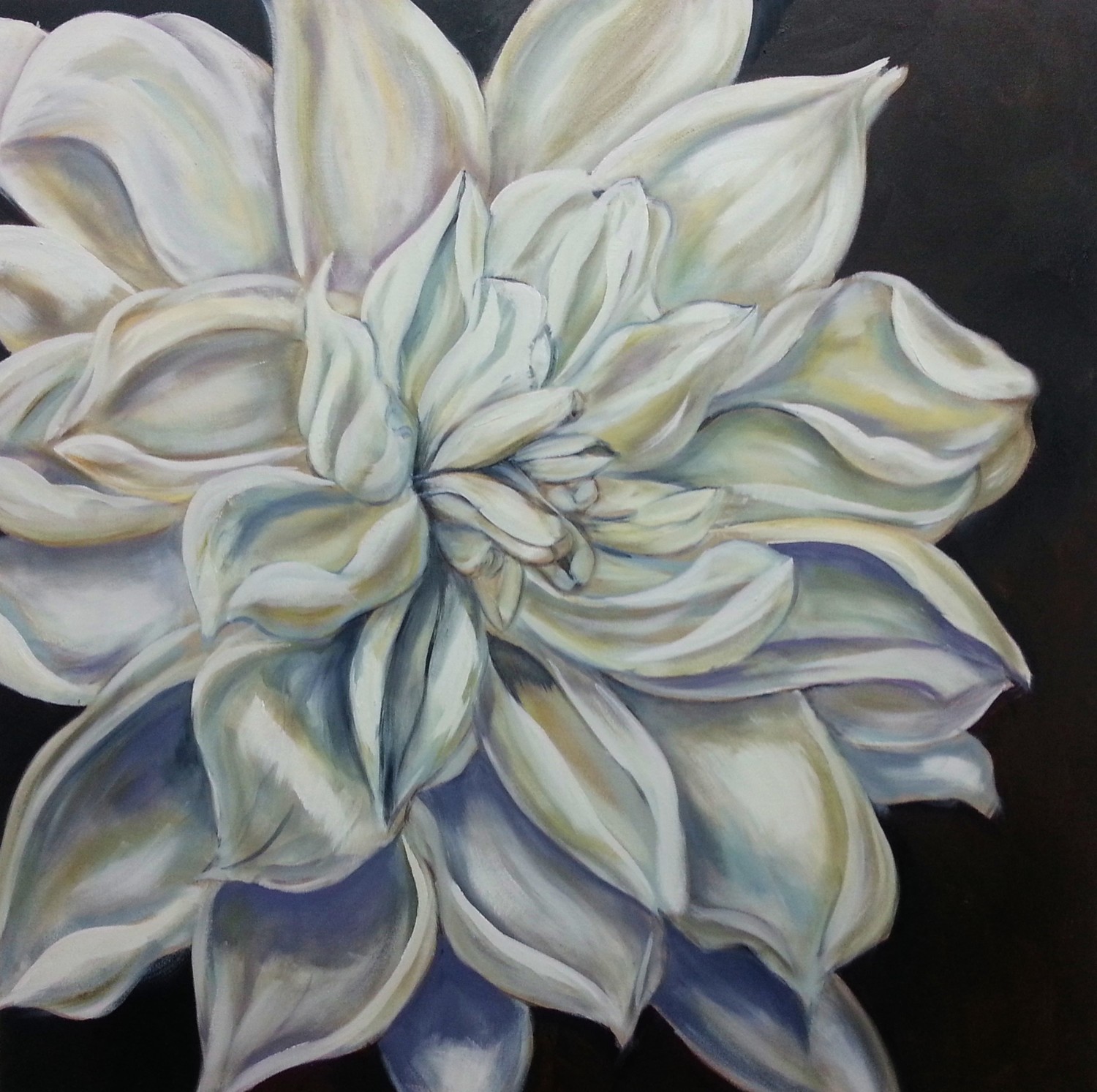 White Dahlia, Original Oil on Canvas, 36&quot; X 36&quot;