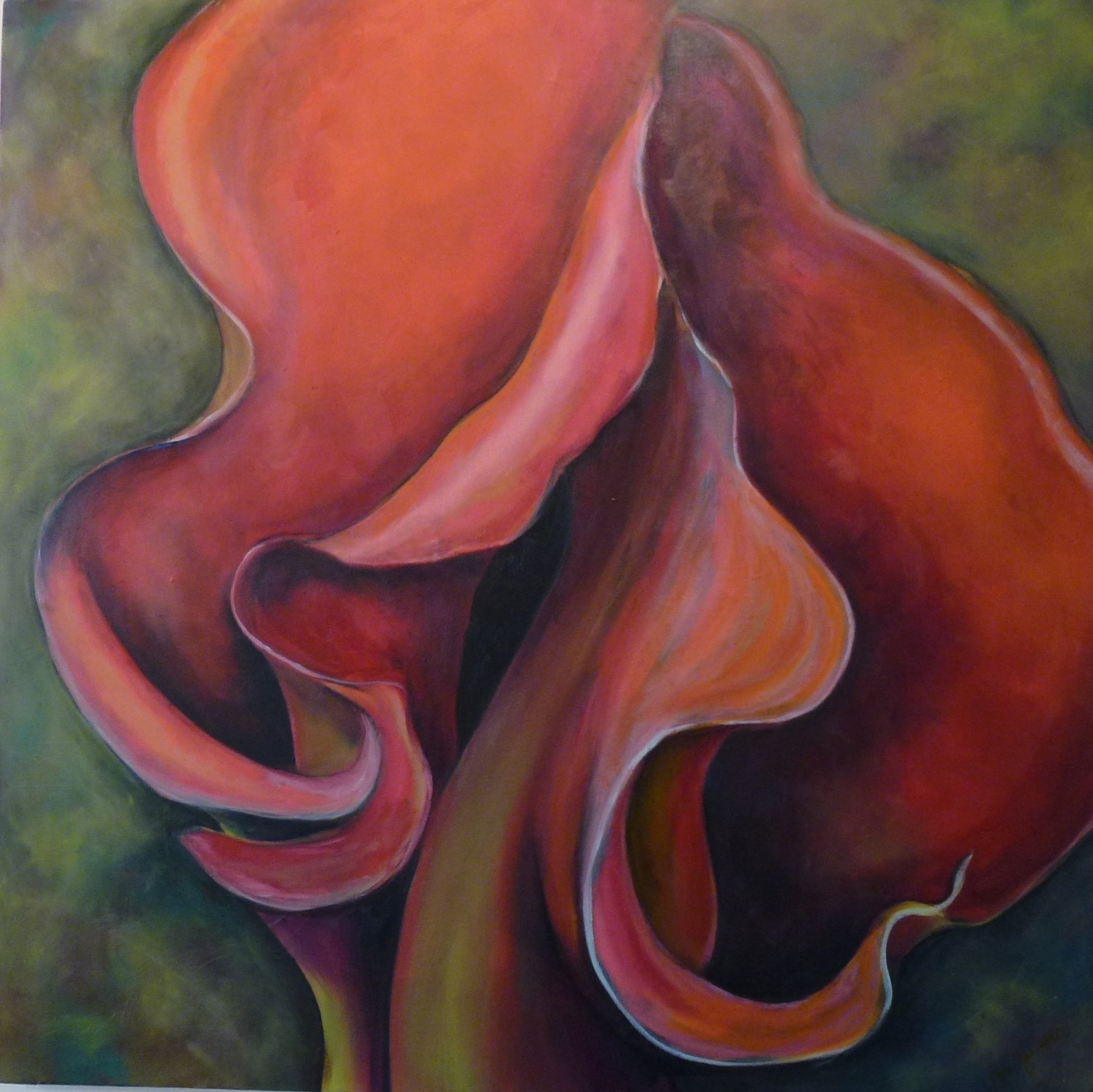 &quot;Unfurled&quot;, Calla lilies, Original Oil on Canvas, 36&quot; x 36&quot;