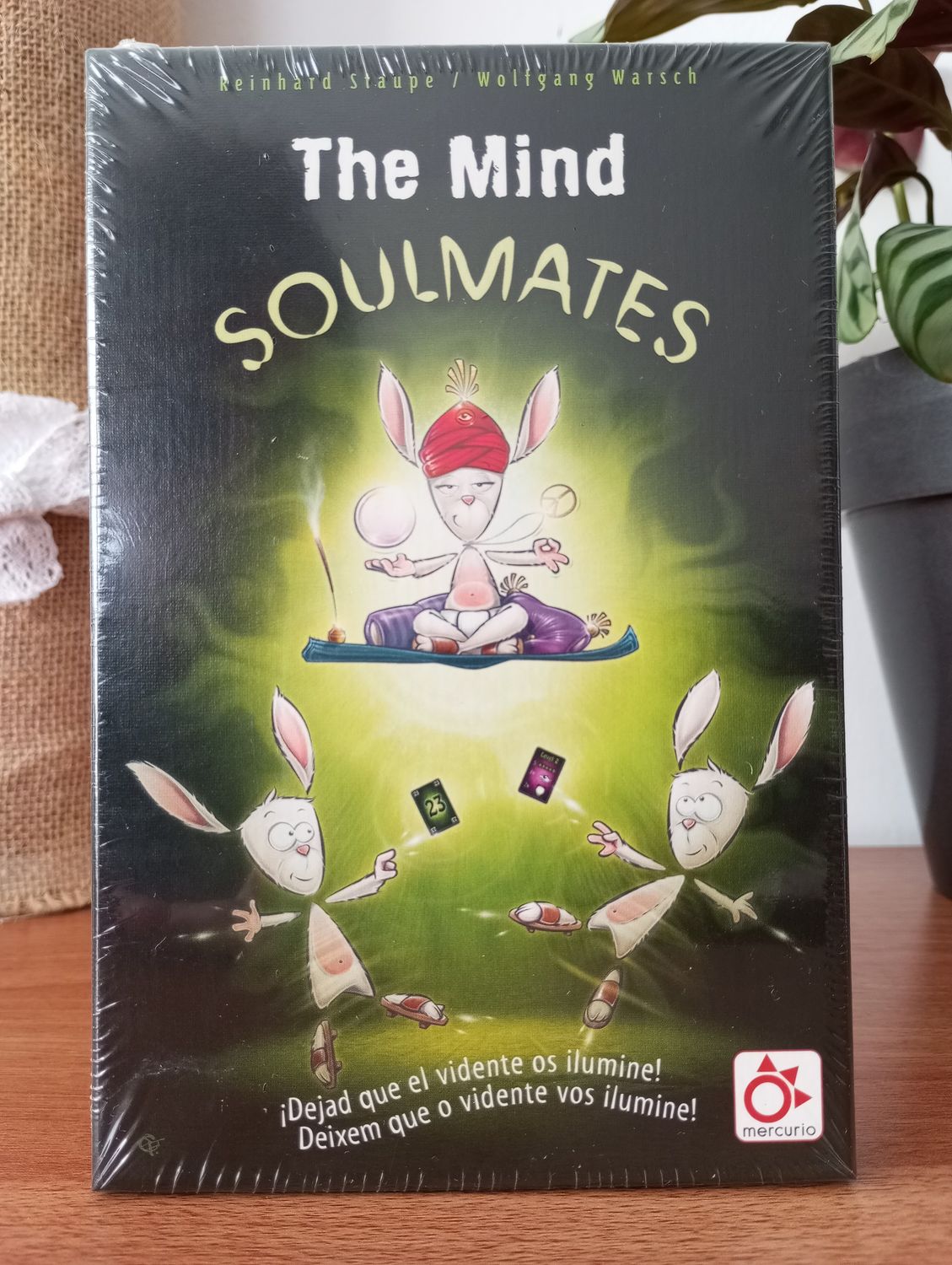 The Mind - SOULMATES