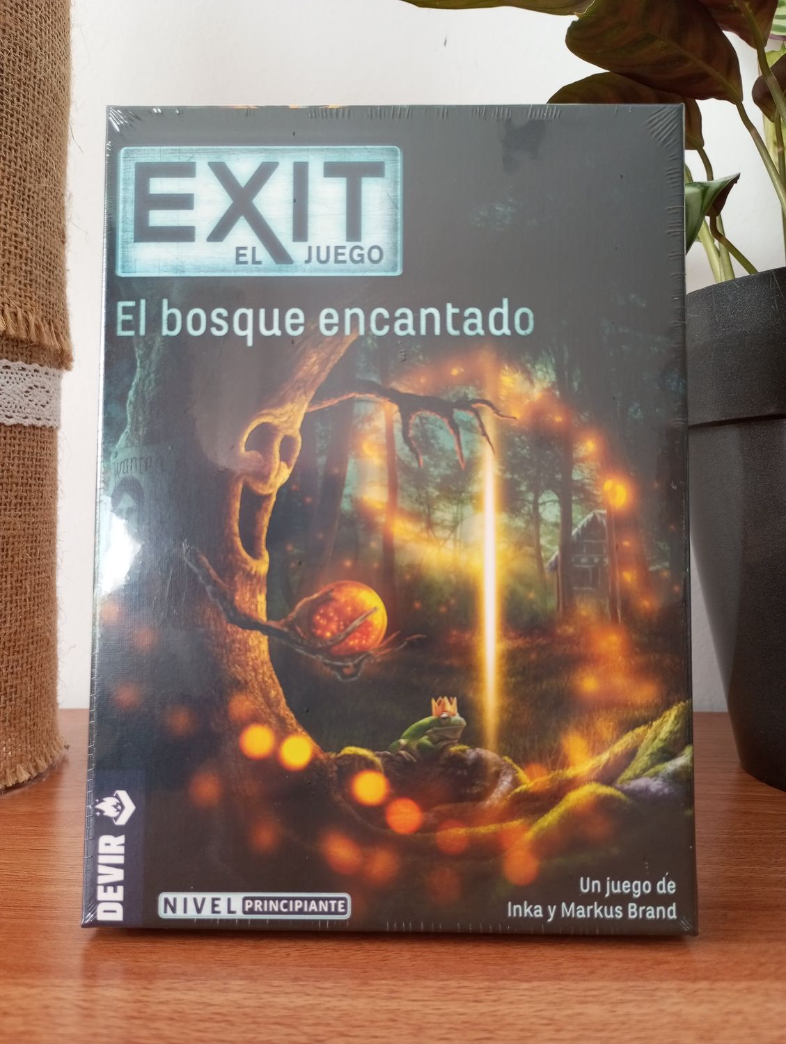 EXIT - (TEMÁTICA A ELEGIR)