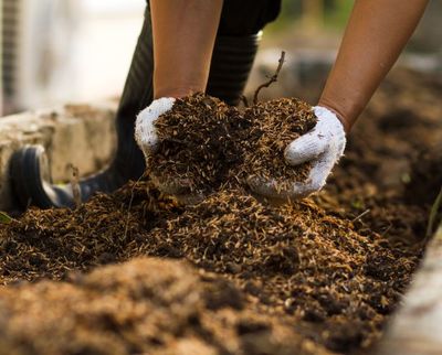 TOPSOIL/DIRT