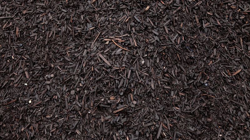 HARDWOOD MULCH-BLACK