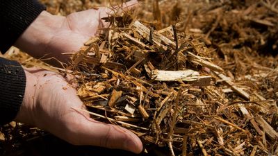 HARDWOOD MULCH- NATURAL