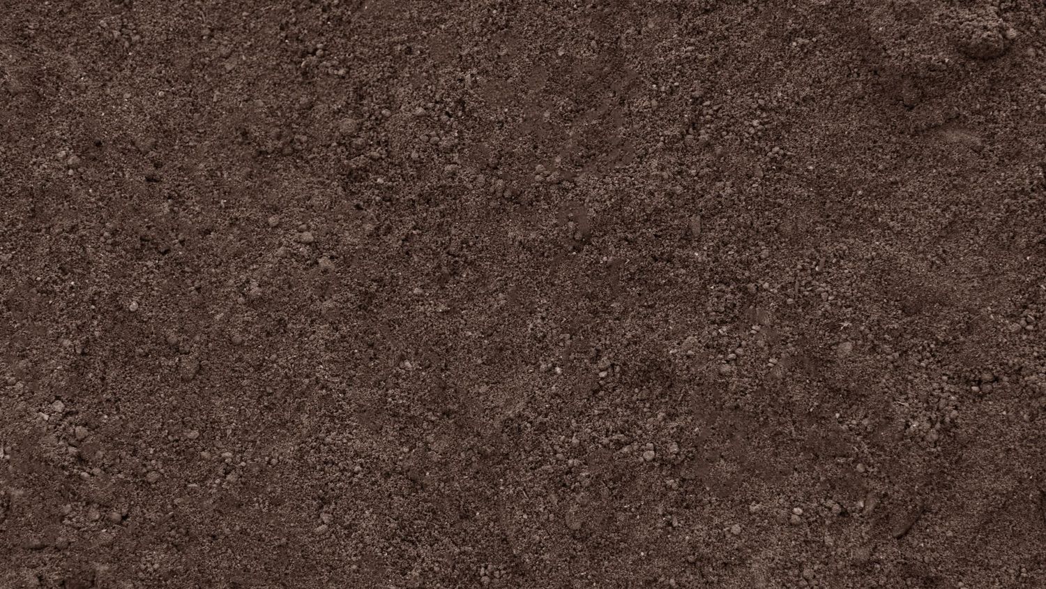 TOP SOIL- UN-SCREENED