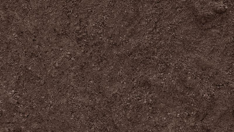 TOP SOIL- UN-SCREENED