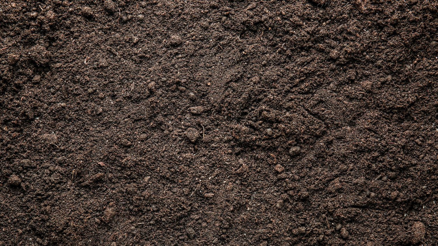 TOP SOIL-SCREENED
