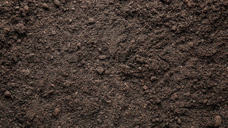 TOP SOIL-SCREENED
