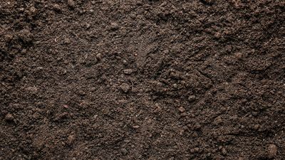 TOP SOIL-SCREENED