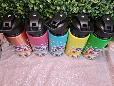 Labubu Water bottles 17oz Aluminum