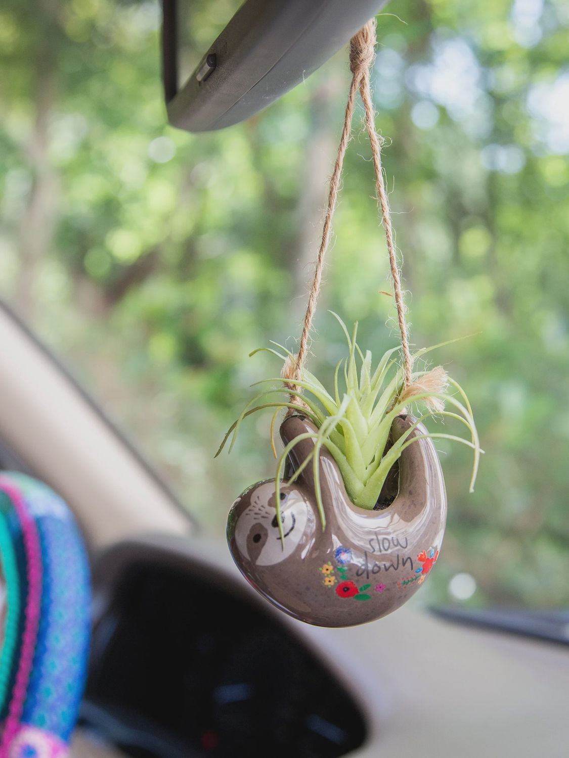 Natural Life Faux Succulent Car Charm - Grey Sloth