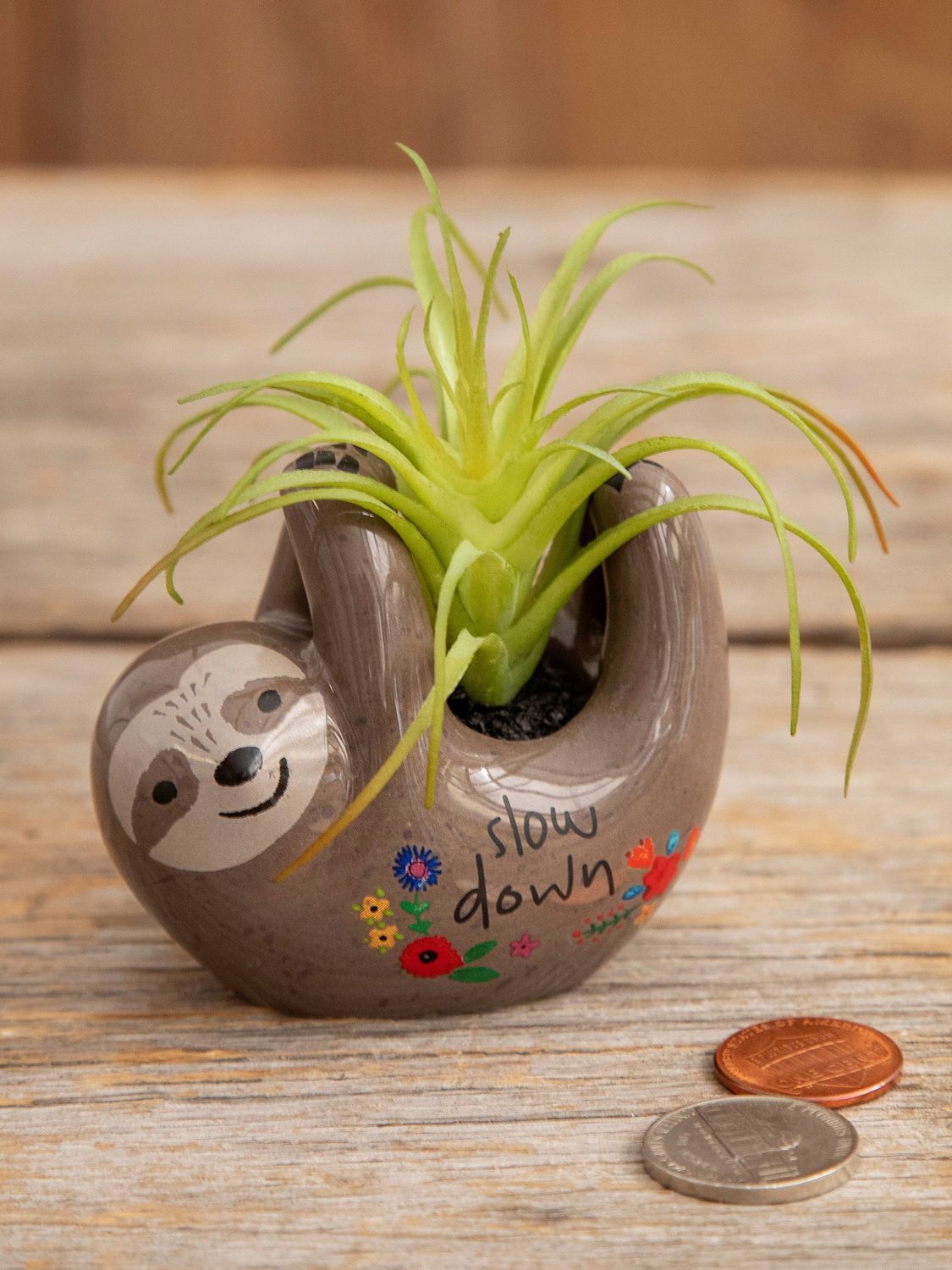 Natural Life Tiny Faux Succulents - Grey Sloth