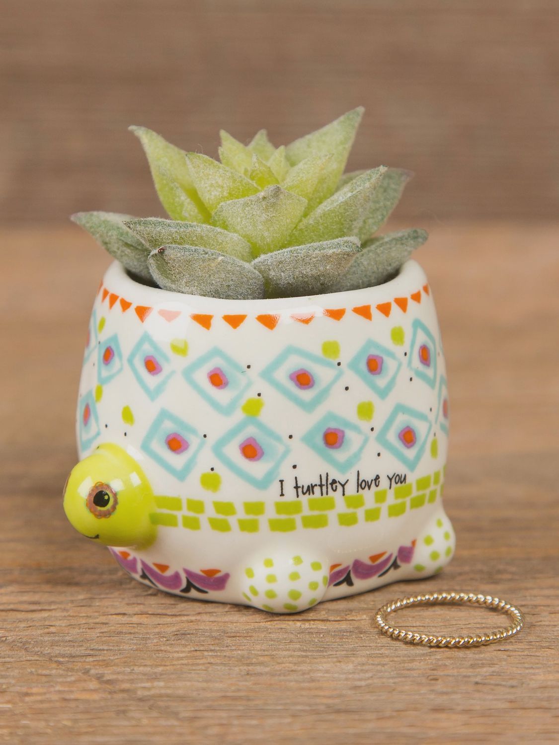 Natural Life Tiny Faux Succulents - Turtle