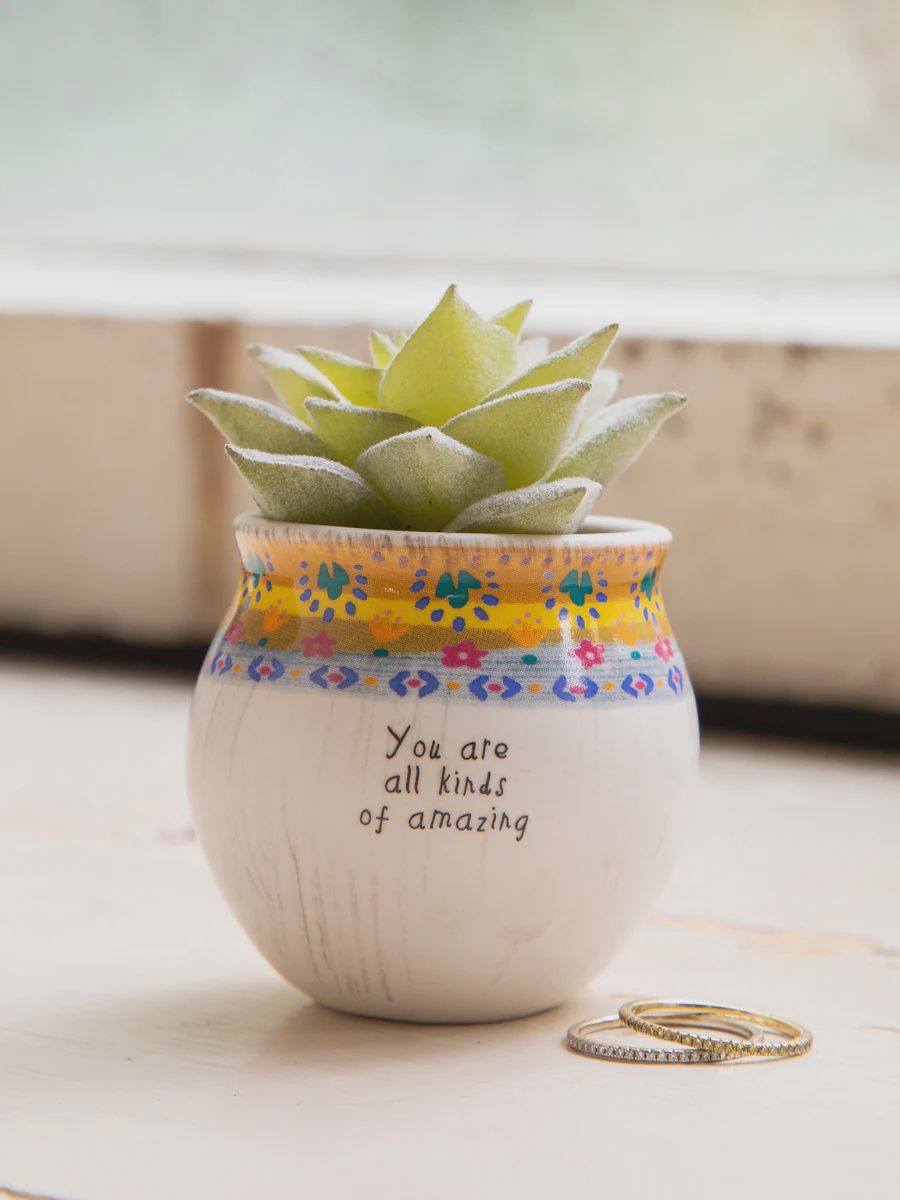 Natural Life Mini Faux Succulent Plant - Amazing