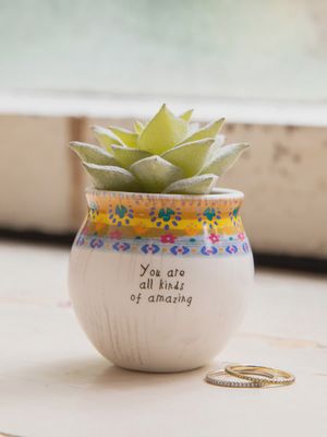 Natural Life Mini Faux Succulent Plant - Amazing