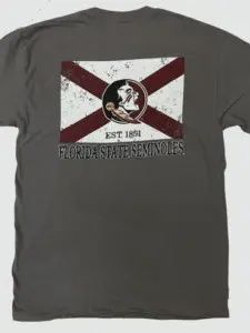 Florida State Seminoles Grey State Flag Tshirt