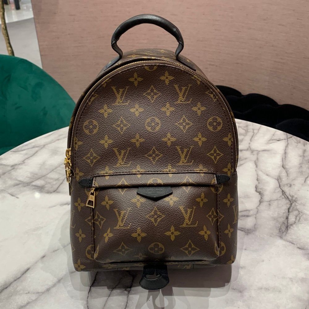 Louis Vuitton Palm Springs PM Backpack in Monogram Canvas