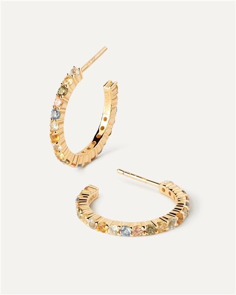 Rainbow Hoop Earirngs