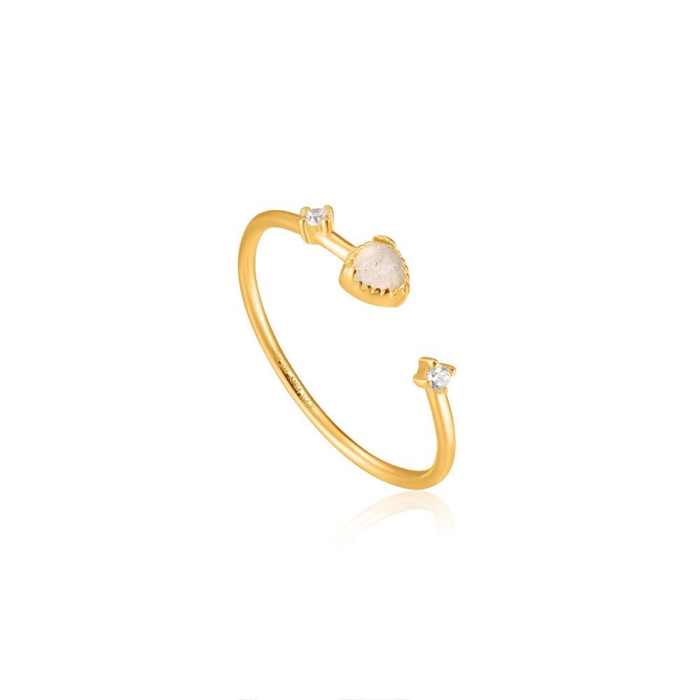 Silver Gold Plated Midnight Adjustable Ring