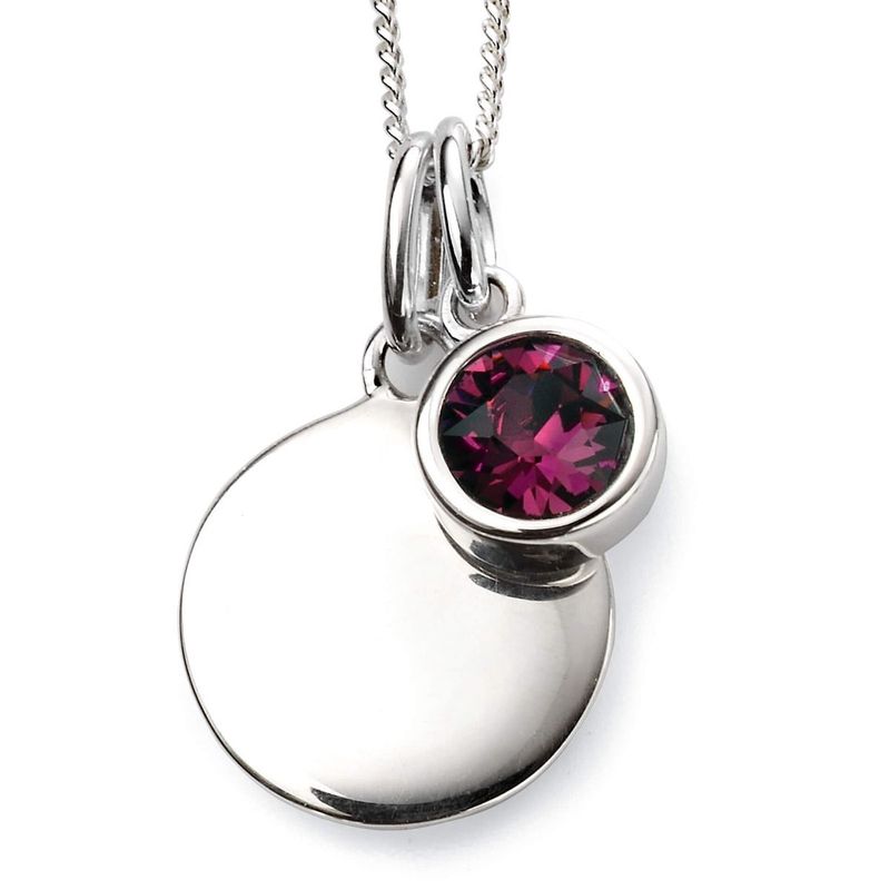 Silver Amethyst Crystal February Birthstone Necklace