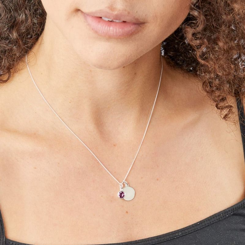 Silver Amethyst Crystal February Birthstone Necklace