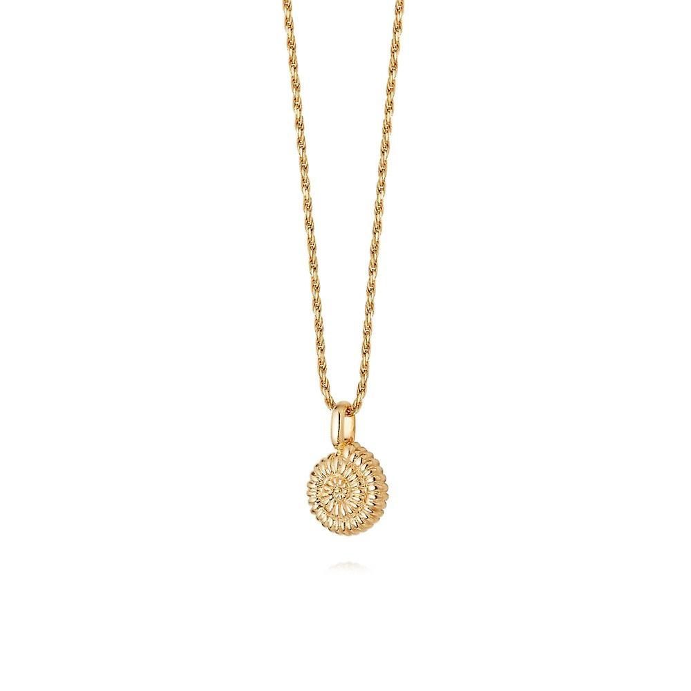 Silver Gold Plated Isla Sundial Shell Necklace