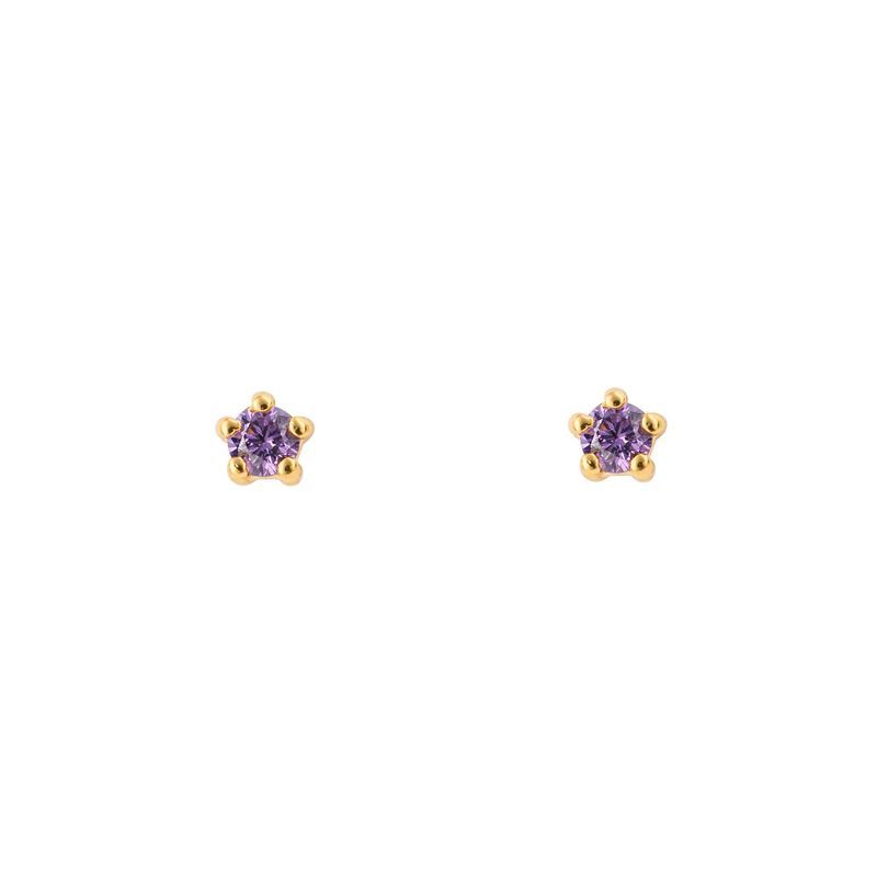 Silver Gold-Plated Purple Zirconia Studs