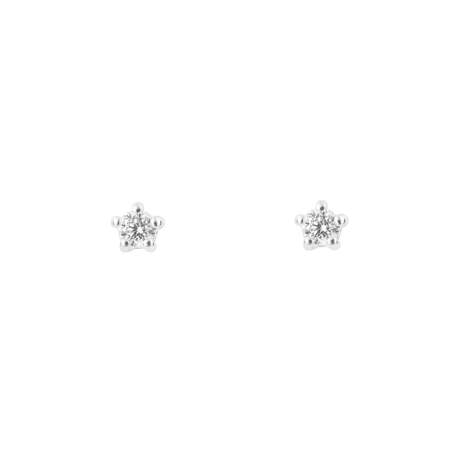 Silver Clear Cubic Zirconia Stud Earrings