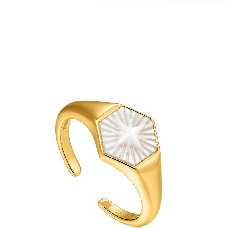 Wild Soul Compass Signet Ring