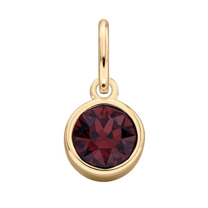 Silver Gold Plated Birthstone Crystal Pendant, Stone: January (Burgundy)