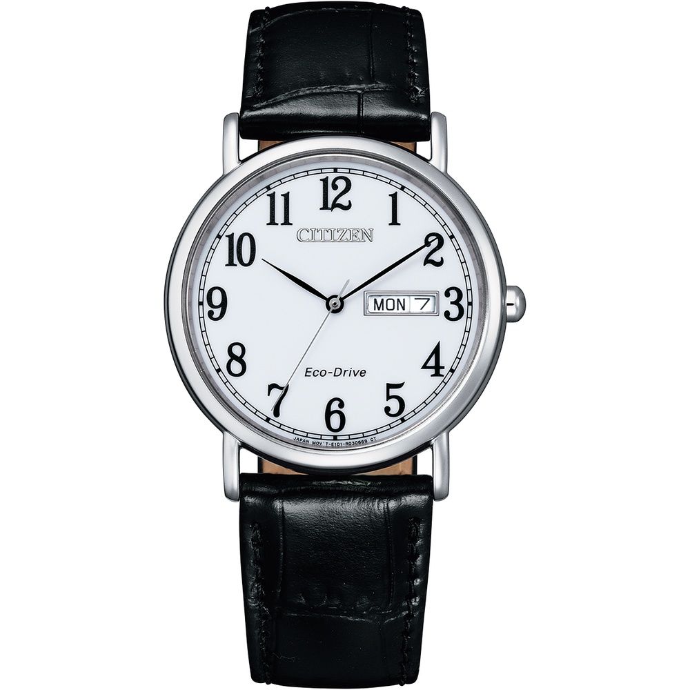 Citizen Eco Drive With Day And Date