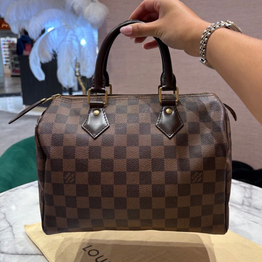Pre-Owned Louis Vuitton Speedy 25 in Damier Ebene Canvas