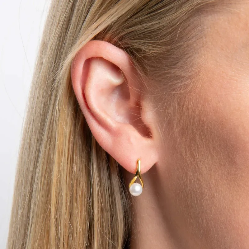 9ct Yellow Gold Freshwater Pearl Twist Drop Earrings