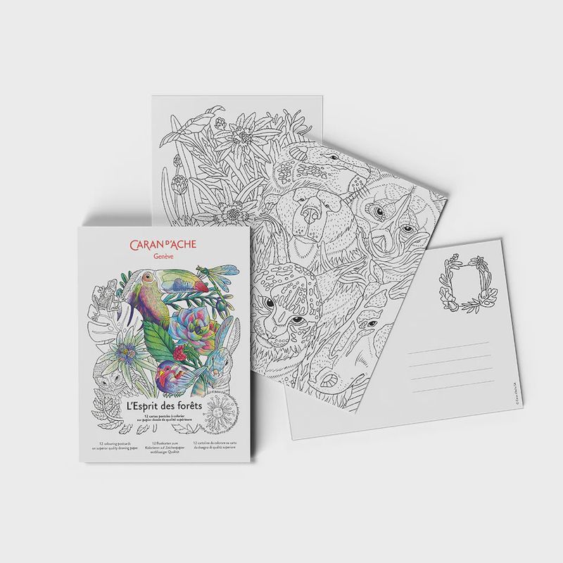 Colouring in Postcards 12 pack - L&#39;espirit des Forets