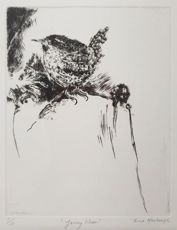 Jenny Wren by Fiona Mackenzie