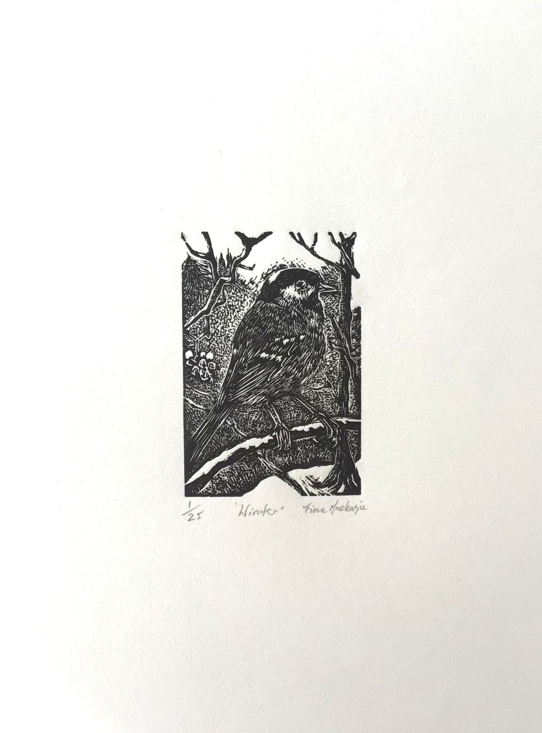 Winter (Coal Tit) by Fiona Mackenzie