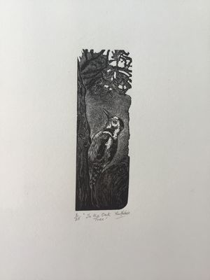 In the Oak Tree by Fiona Mackenzie