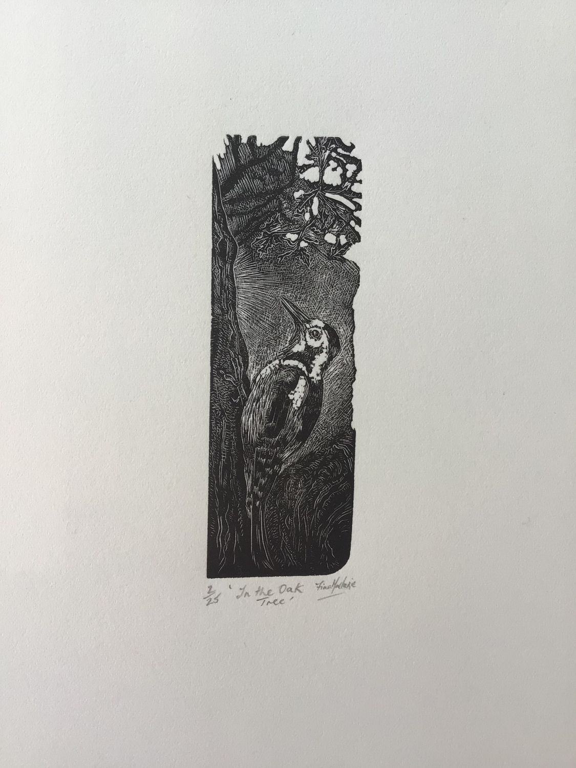 In the Oak Tree by Fiona Mackenzie