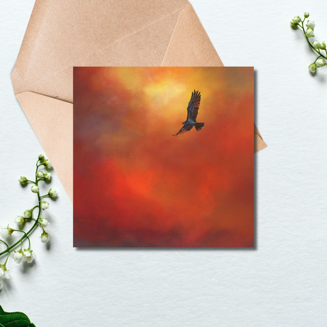 Osprey Greetings Card