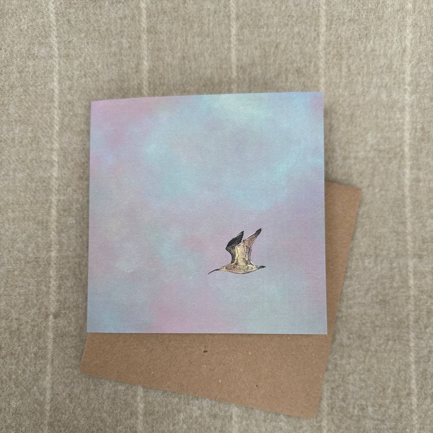 Curlew Greetings Card